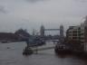 dsc00010.jpg