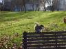 dsc00070.jpg