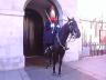 dsc00073.jpg