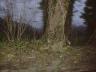 dsc00095.jpg