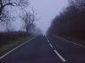 dsc00110.jpg