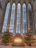 dsc00133.jpg