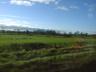 dsc00139.jpg