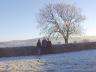 dsc00023.jpg