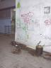 dsc00065.jpg