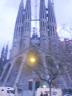 dsc00020.jpg