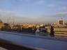 dsc00010.jpg
